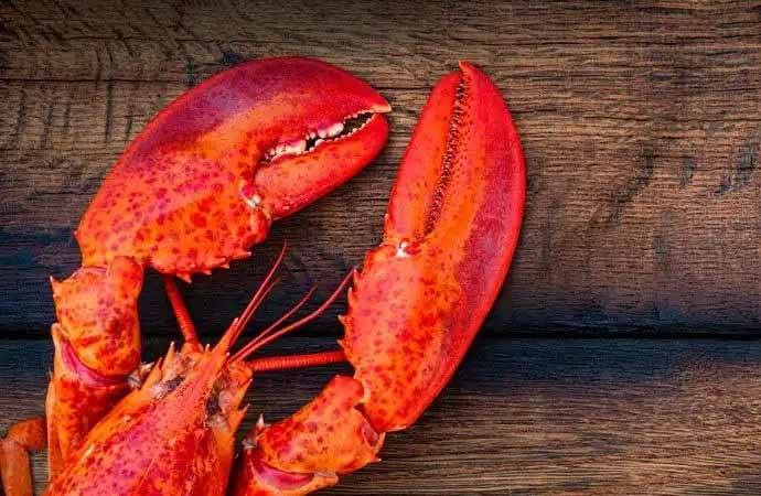 Yılbaşı gecesi bu yiyecekleri ağzınıza bile sürmeyin. İki yakanız bir araya gelmeyebilir - Resim: 5